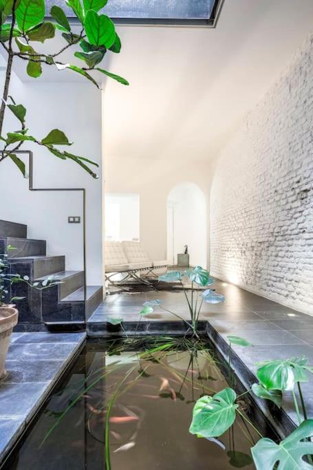 Elegante Duplex Centro Sevilla Matahacas 1 Екстер'єр фото