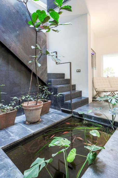 Elegante Duplex Centro Sevilla Matahacas 1 Екстер'єр фото